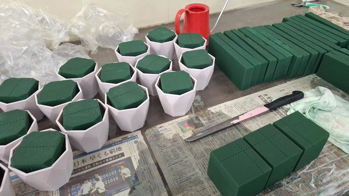 ぴょんきち tweet media