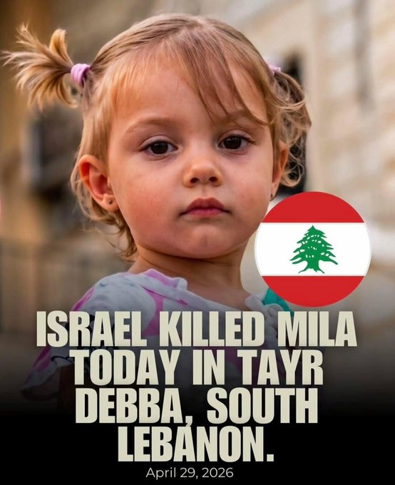 Palestine Culture tweet media