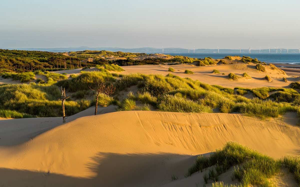 FormbyGolfClub's tweet image. The dramatic land our course sits on makes more sense when you peek through the trees towards the sea.

The sight? Some of the most stunning duneland in the country that provides us with one of the purest links experiences going.

#FormbyGolfClub #EnglandsGolfCoast #TheOpen