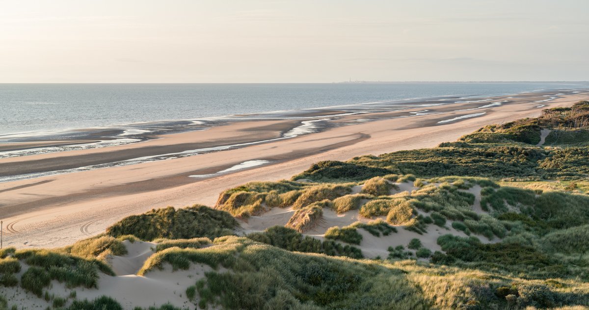FormbyGolfClub's tweet image. The dramatic land our course sits on makes more sense when you peek through the trees towards the sea.

The sight? Some of the most stunning duneland in the country that provides us with one of the purest links experiences going.

#FormbyGolfClub #EnglandsGolfCoast #TheOpen