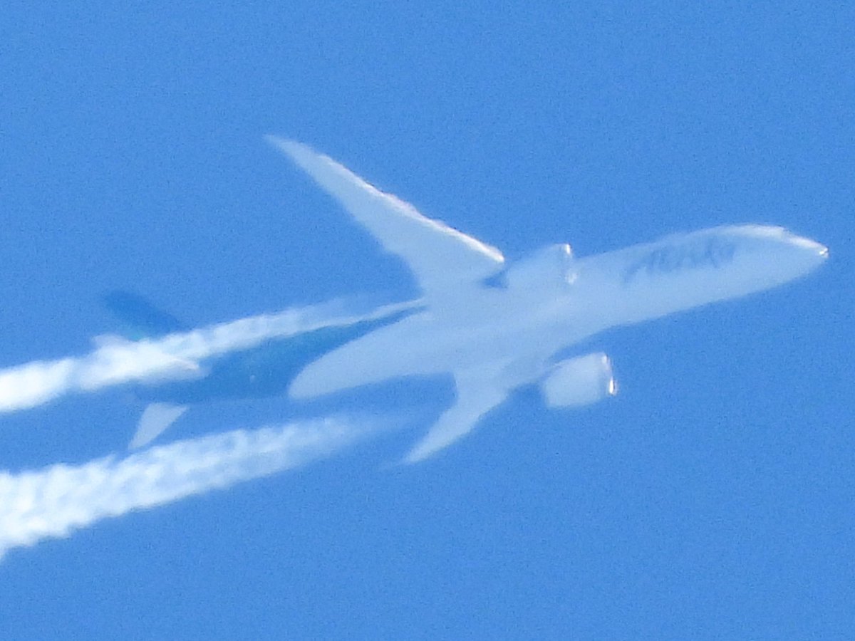 DAviation17's tweet image. Heres a shot of @AlaskaAir Flight AS180 Boeing 787/9 (N784HA) seen here over Wolverhampton West Midlands from (SEA) 🇺🇸 to (FCO) 🇮🇹 in her Brand new Aurora Livery on 30/04/26. #AlaskaAirlines #AS180 #N784HA #Boeing #Boeing787 #B789 #B787 #Aviation #Avgeeks #avgeek #planespotting