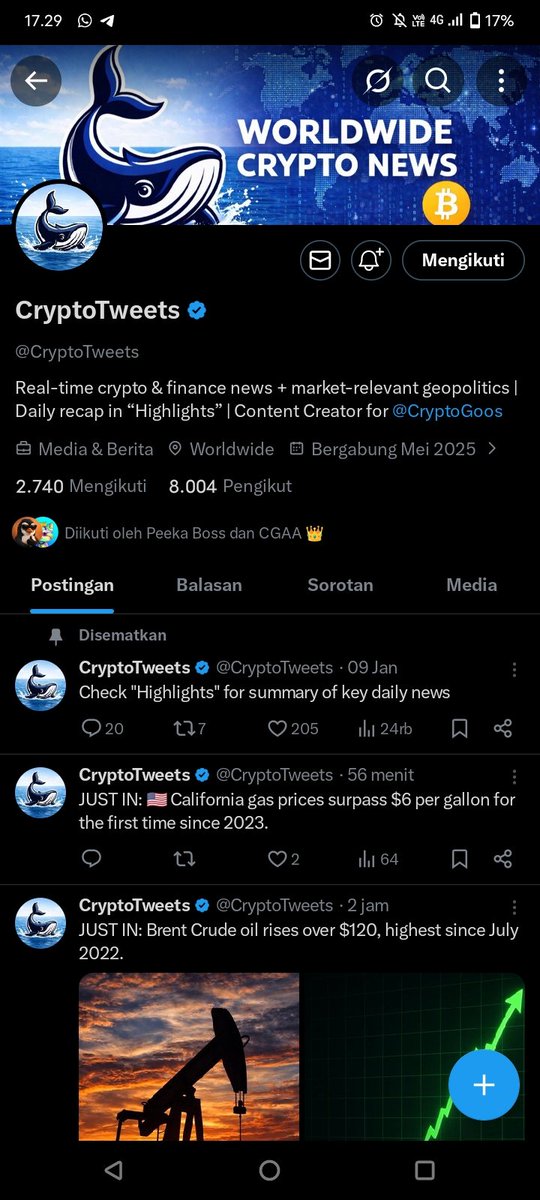 by 🦕 tag tweet media