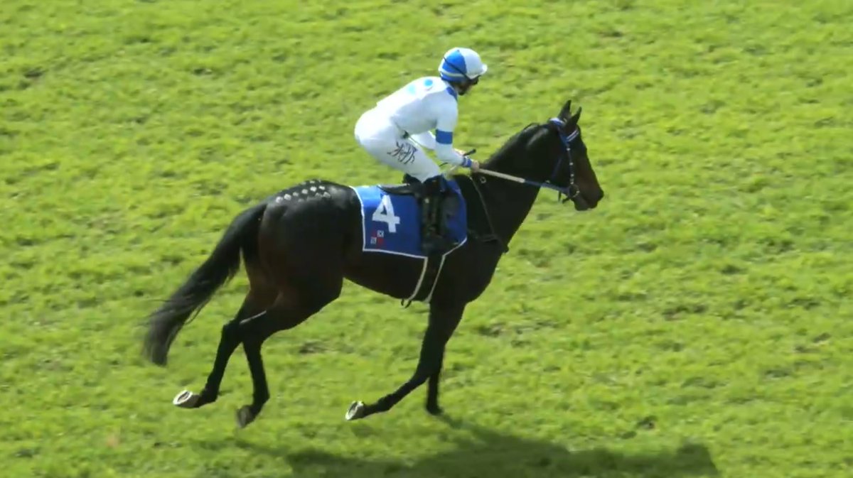 rebelsart's tweet image. 🇫🇷 Mickaëlle Michel🇯🇵@MickaelleMichel and Revitalise racing in the Maiden Juvenile Plate race 1 on Thursday at Turffontein, South Africa‼️🏇🇿🇦
Trainer Robyn Klassen
💥Good Fight!💥
#NeverGiveUp #WorkHard #MickaelleMichel
M.ミシェル #ミカエルミシェル
💪👊🌪️🥰
@FredericSpanu