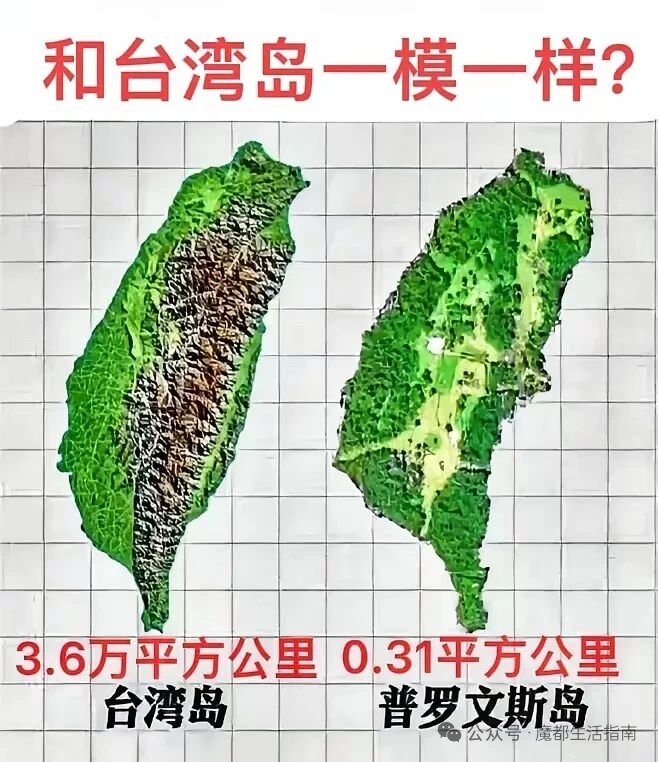 雁过留声 tweet media
