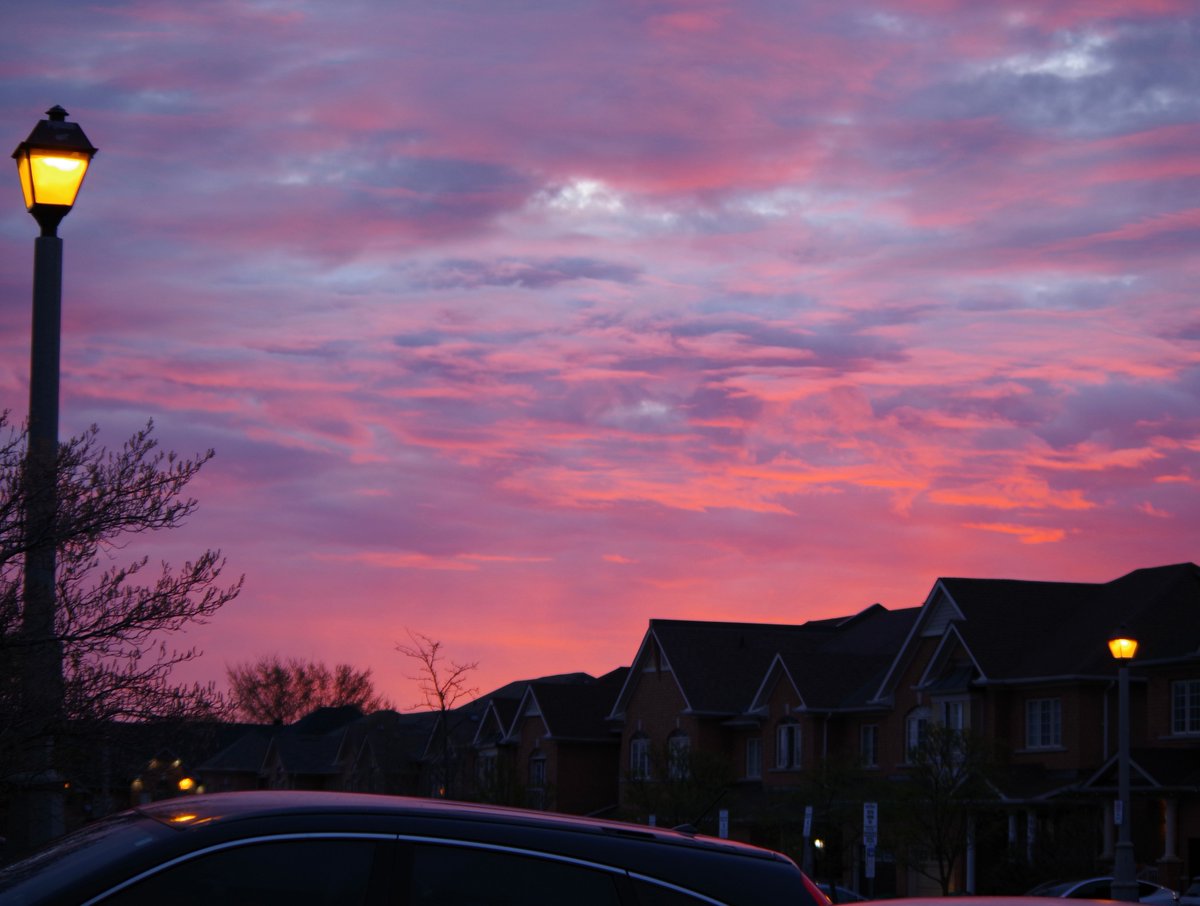 PankilRichards's tweet image. Pink Warming

#Photography