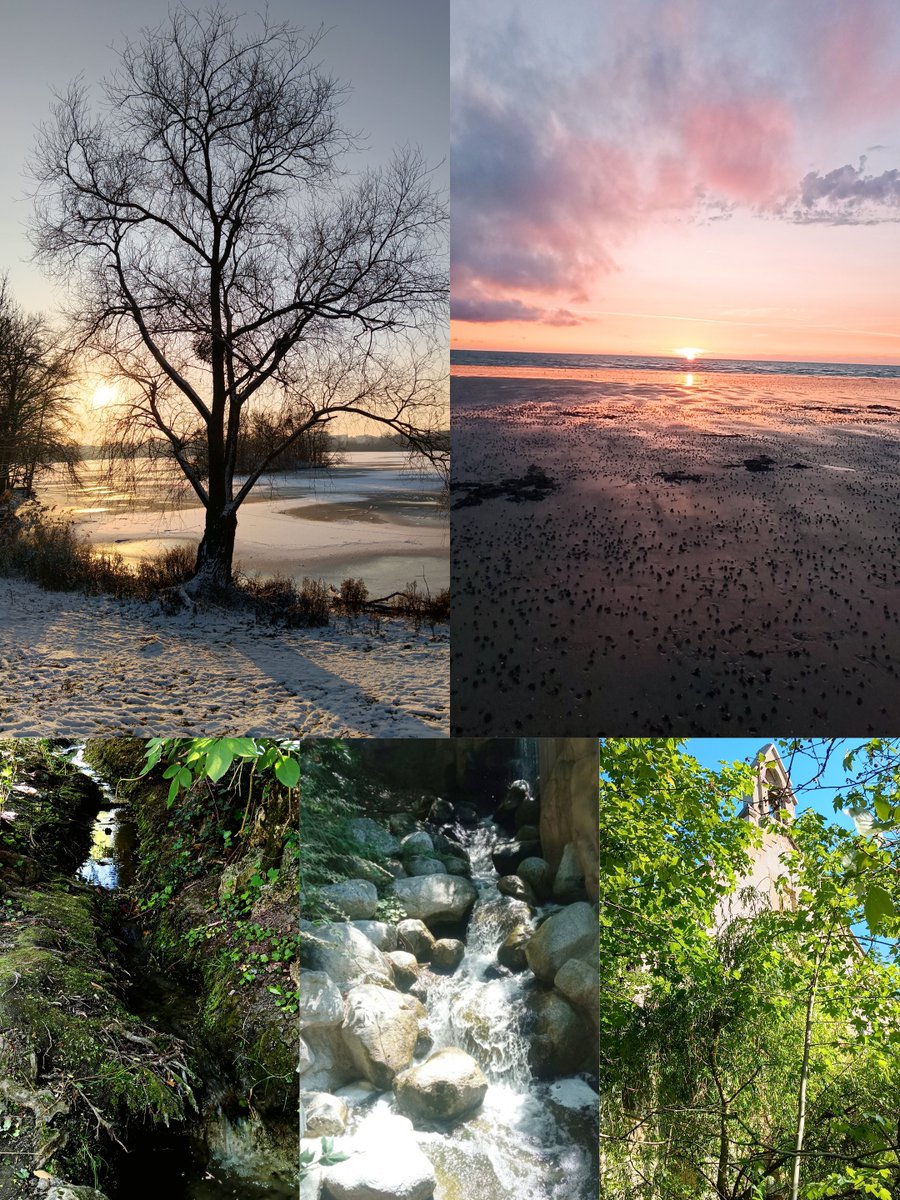 davidalexp7's tweet image. N.A.T.U.R.A.L® 📸

Collection Link in BiO 🔗 
#Photography #art #nature