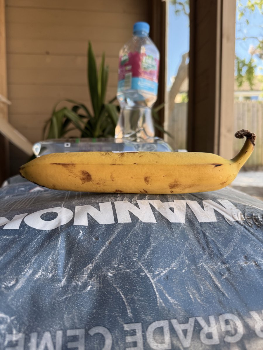 Warney_Darren's tweet image. This has to be the straightest #banana I’ve seen in my life
