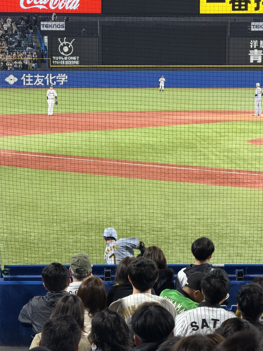 メイズ tweet media