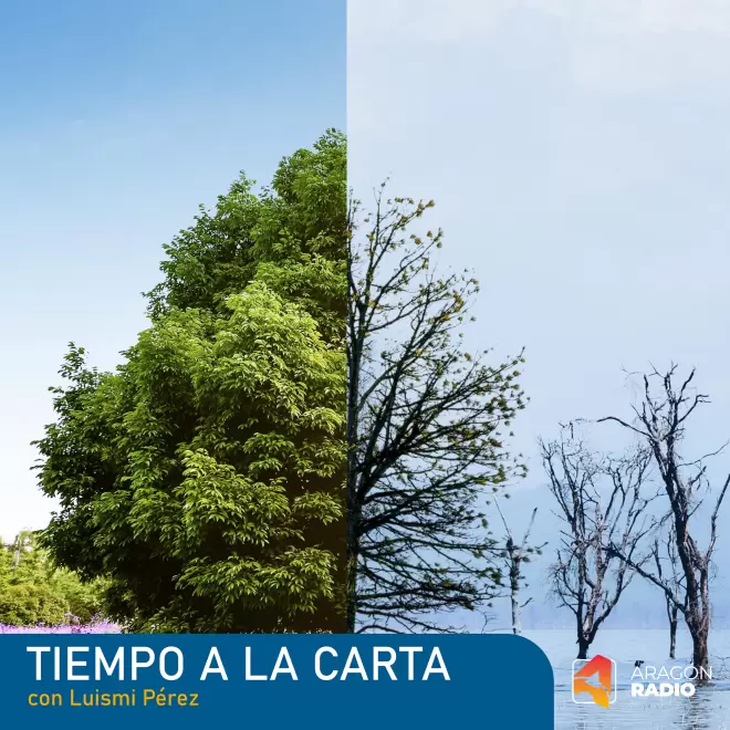 Aragón Radio tweet media