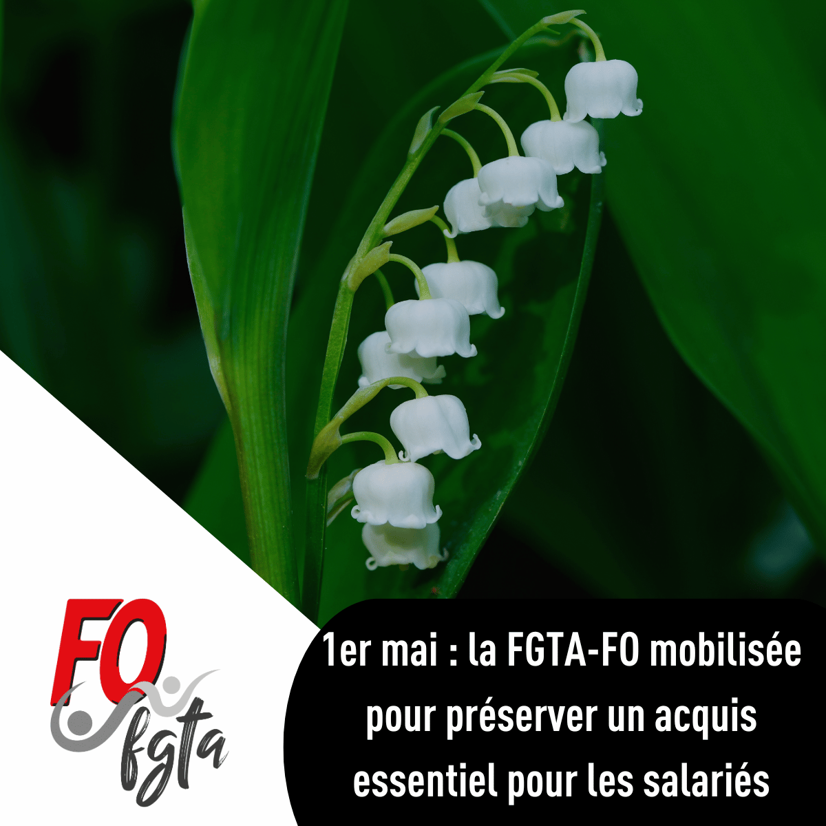 FGTA-FO tweet media