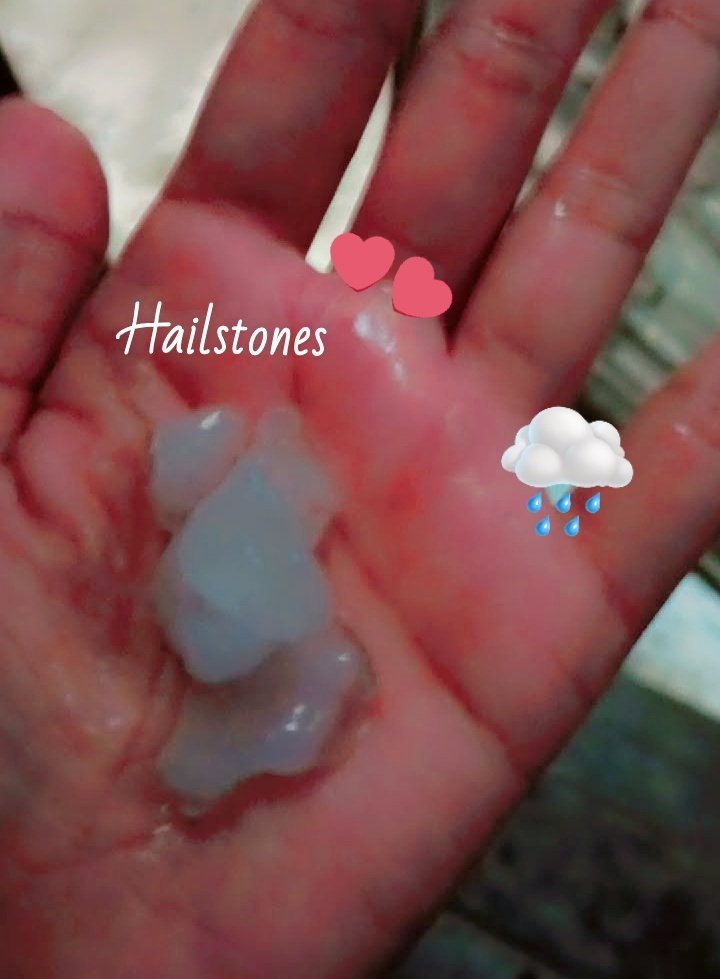 Ꮲ𝐫є𝖙𝖙ɏ ωøɱꋬ̊ɳ🧚‍♀️ 𝓒𝓾𝓽𝓮 𝓒𝓱𝓾𝓻𝓪𝓲𝓵 👻 tweet media