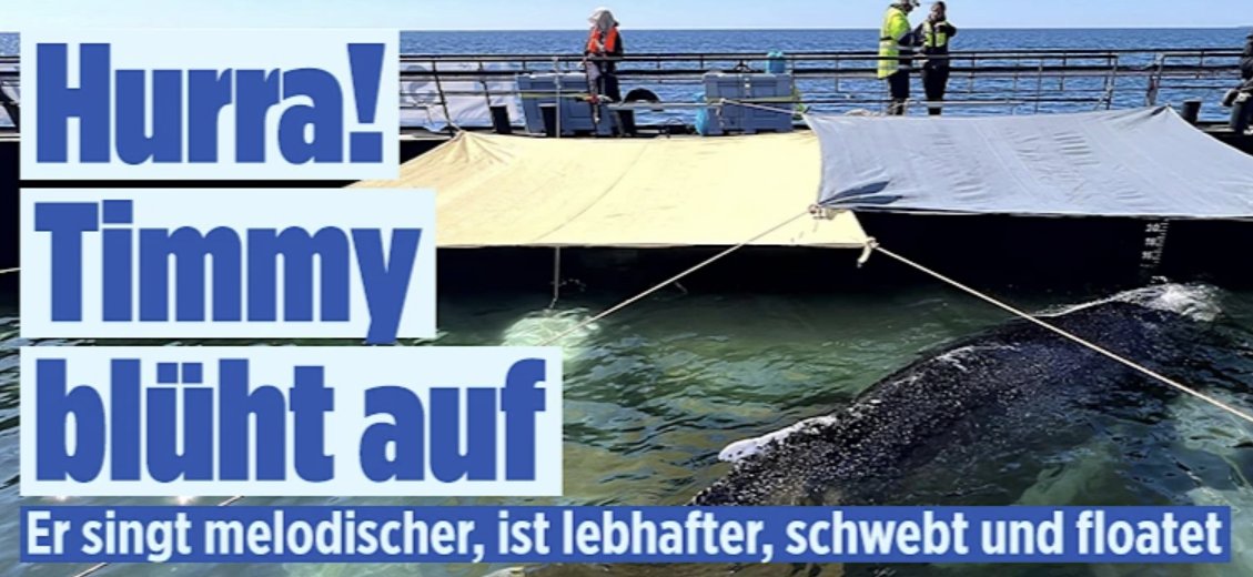 Und das alles sobald er Deutschland verlassen hat.