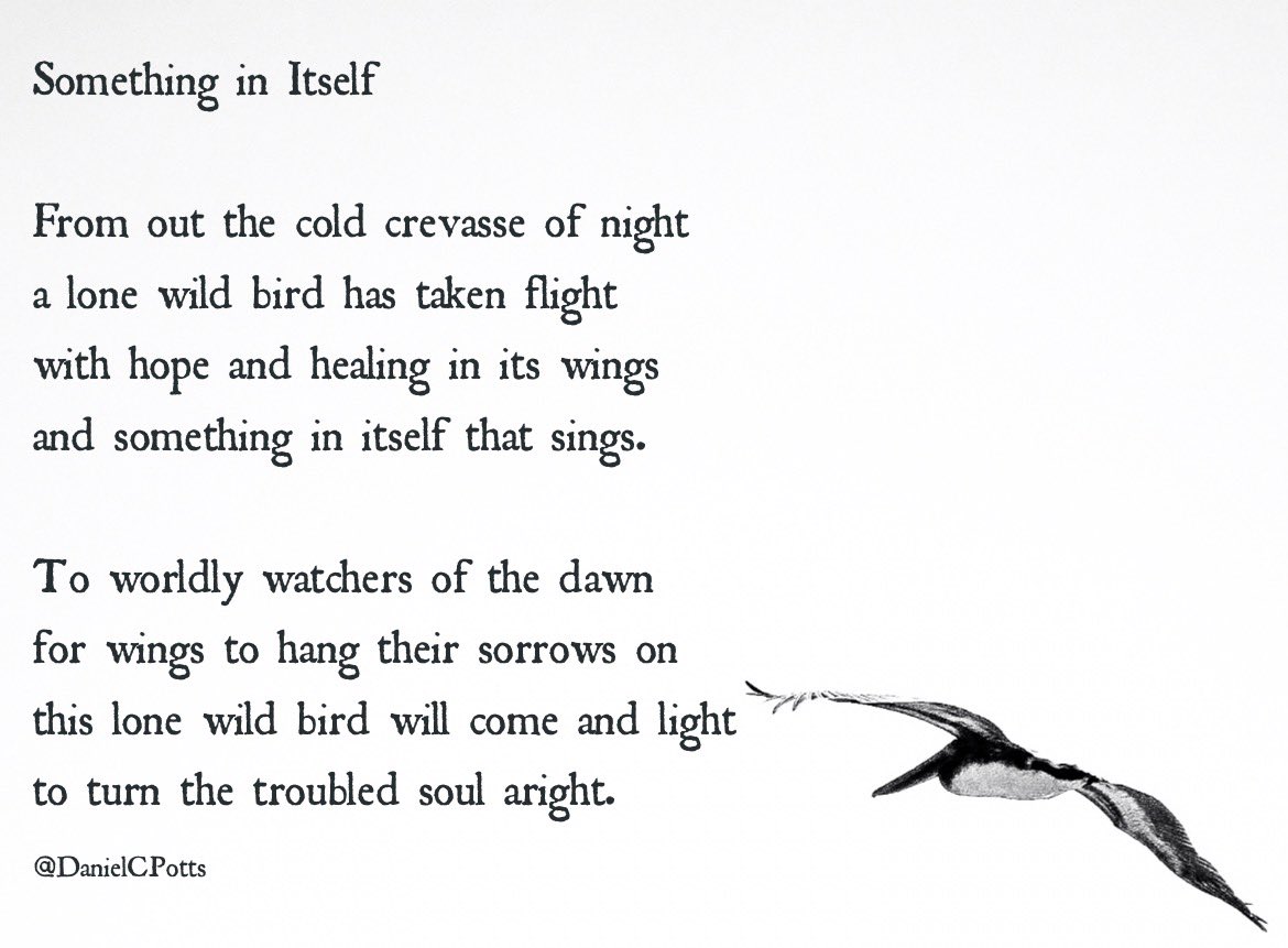 DanielCPotts's tweet image. Something in Itself —D. Potts #poetry #nationalpoetrymonth #photography