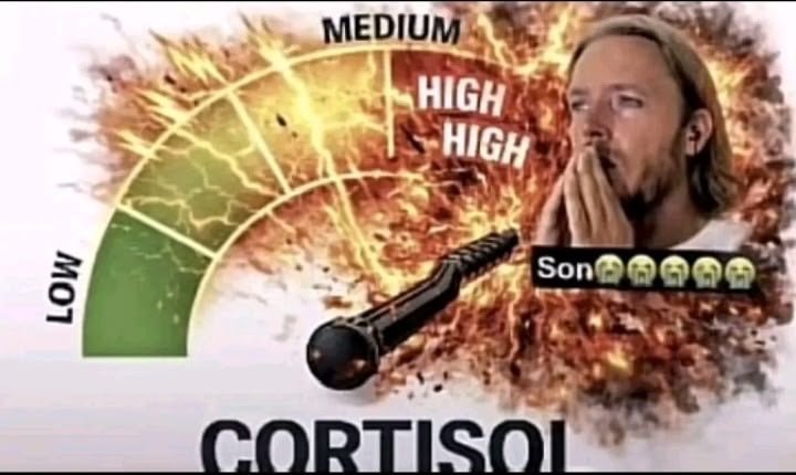 Nacho tweet media