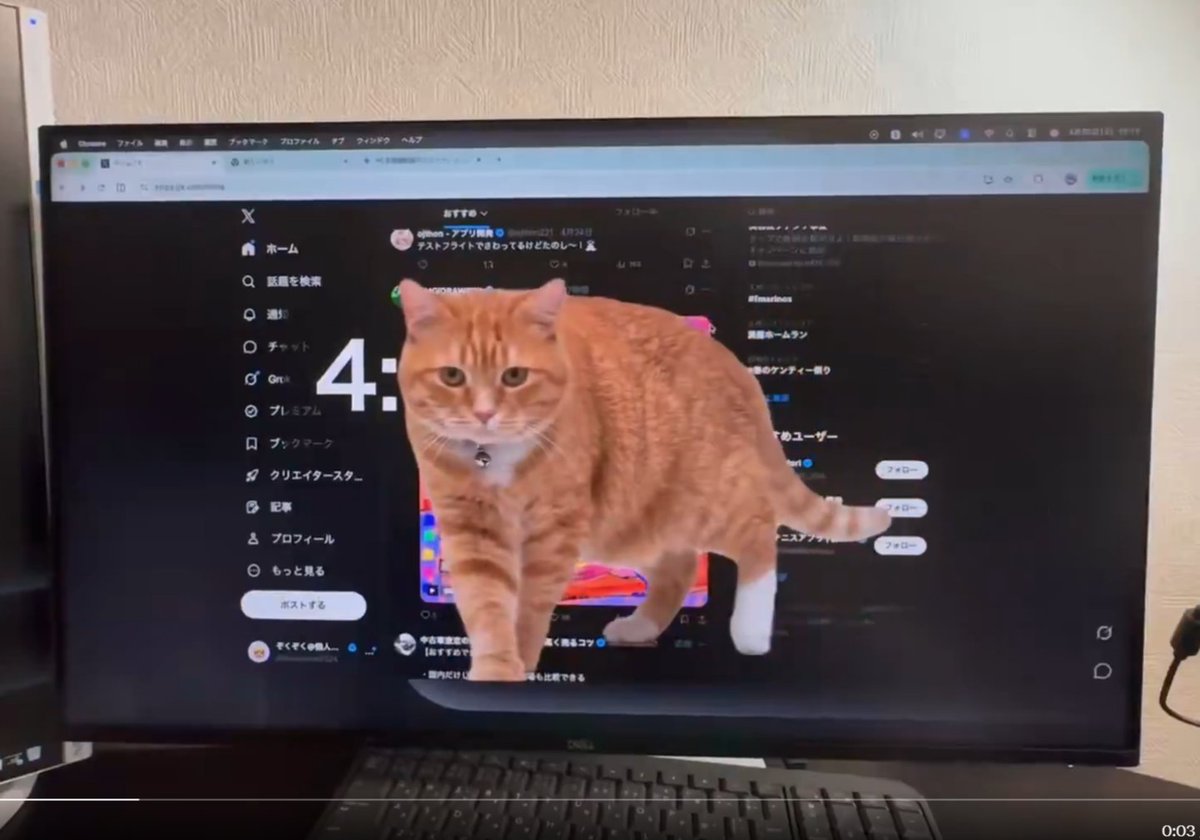 juniorenarg's tweet photo. Necesito que un gato me mire así cada vez que voy a gastar plata https://t.co/V3xXTlwkW8