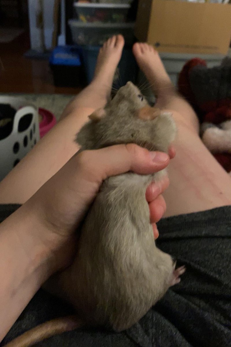 🇦🇷 Cosme Luchito 🇻🇪 tweet media