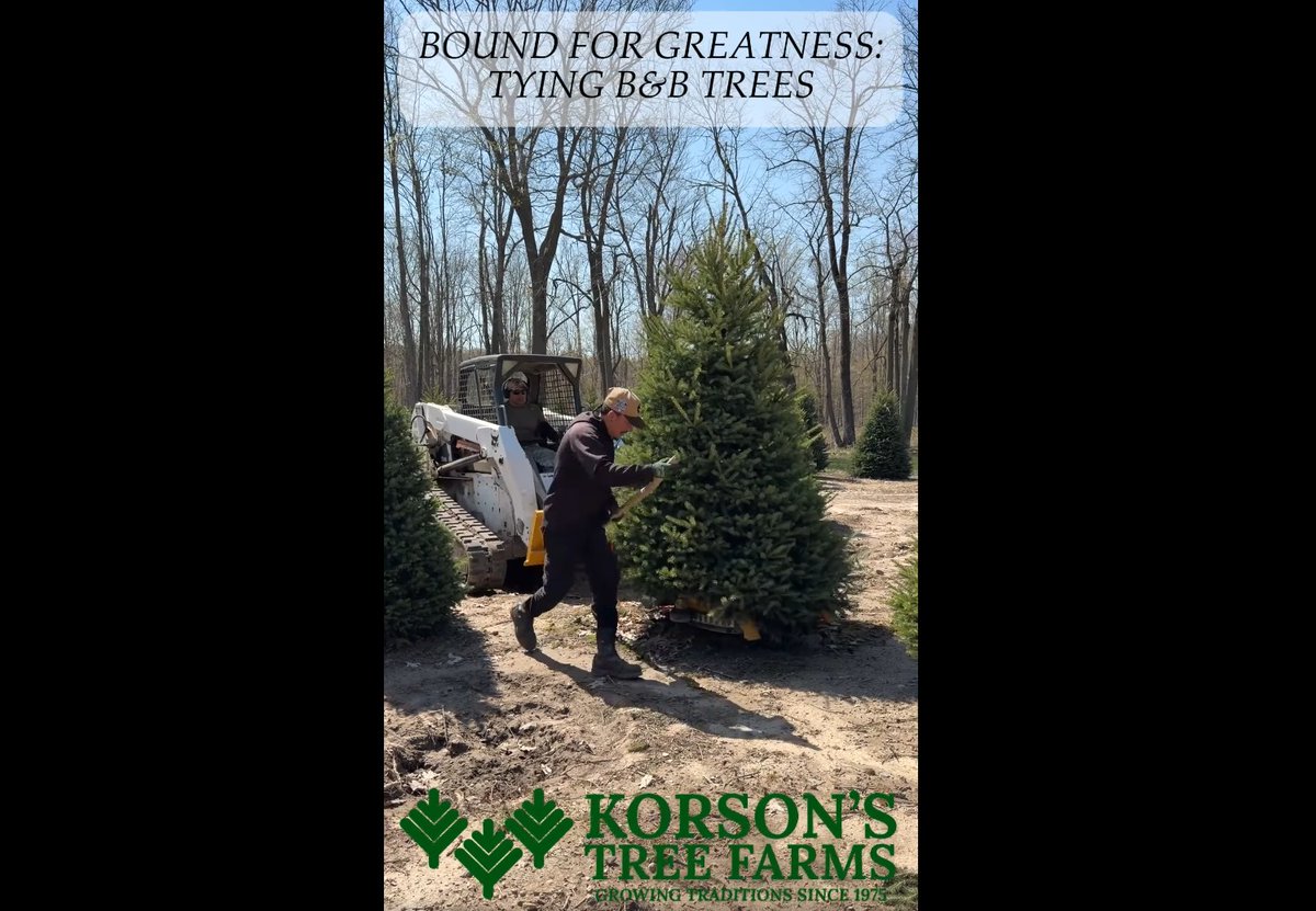 Trees for Troops tweet media
