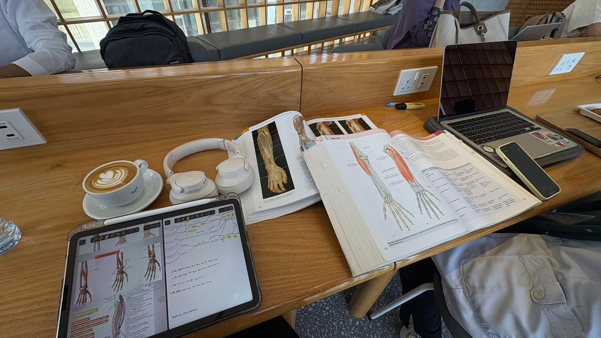 Zisuew's tweet photo. MSK module ( DONE )
6/10
سهل لكن ممل ممل و المتعة الوحيدة كانت فلوقات المشرحة و الرسم اللانهائي https://t.co/IgH6SG7RQg