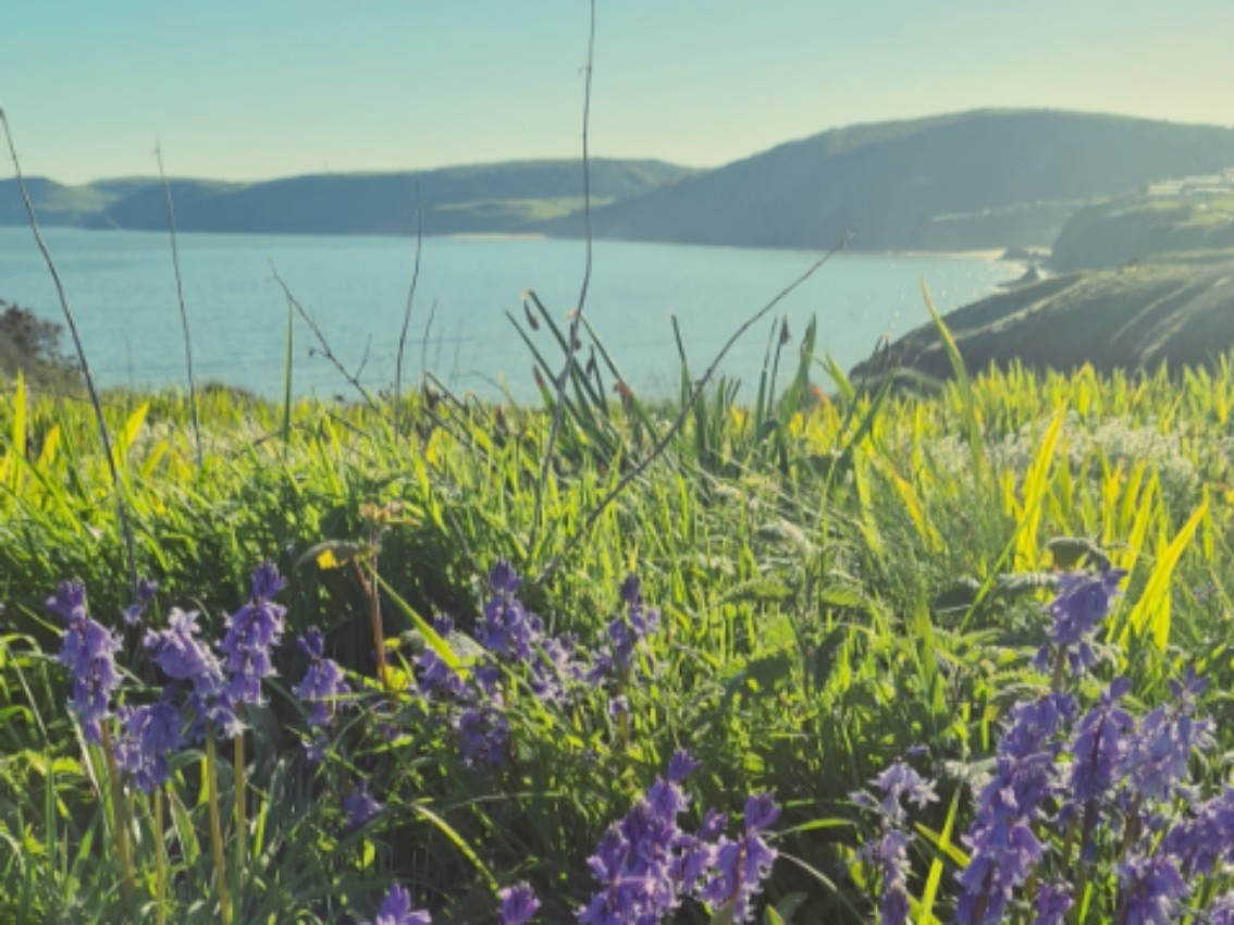 CelticSus's tweet image. 🌞 Bank Holiday Weekend Update! 🌞
Friendly reminder that we're closed for the May bank holiday weekend. All messages and calls will be answered when we return on Tuesday, May 5th.
Have a lovely, relaxing break!
#BankHoliday #Closed #MayBankHoliday #SmallBusiness #Cardigan