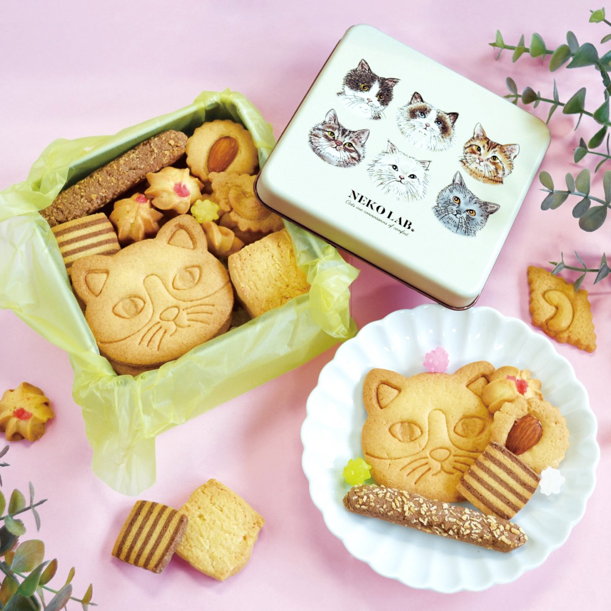 マルート 1Fにて NEKO LABが期間限定出店🐈🐾 ~ ただただ猫が好き マルート 1Fにて NEKO LABが期間限定出店🐈🐾 ~ ただただ猫が好き