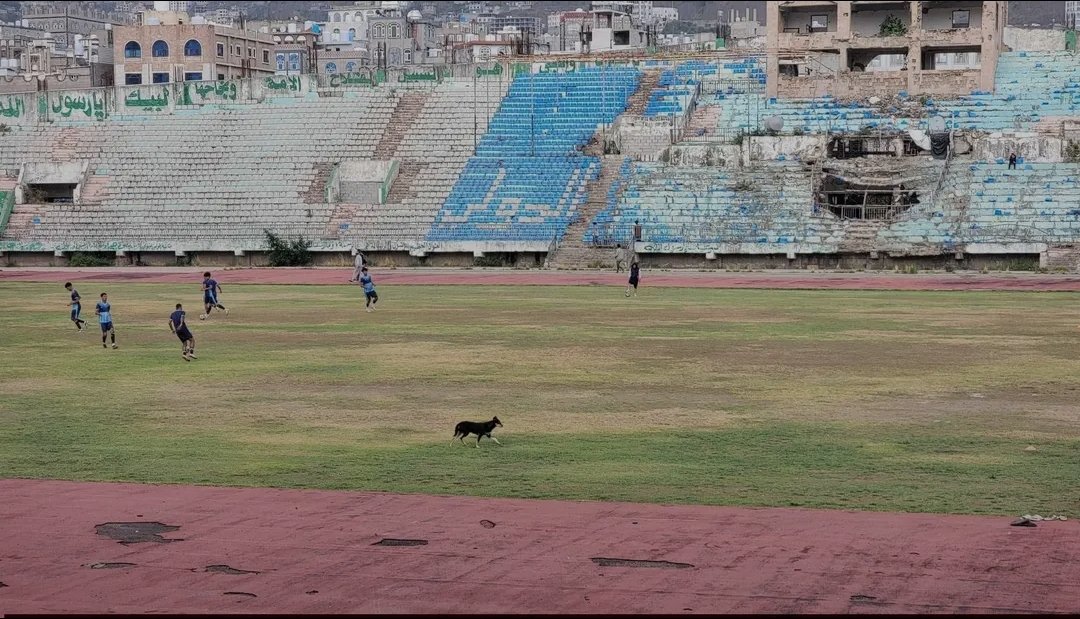 🚨ستاد 22 مايو الدولي في إب!

هذا ليس ملعباً… هذا مشهد إهمال!
مدرجات متهالكة، أرضية منهكة،
وكلب يتجول في الملعب وكأنه جزء من المباراة…!
أكثر من 10 سنوات دون صيانة حقيقية،
ومع ذلك يسيستضيف مباريات أندية المحافظة في الدوري وكأس الجمهورية!
