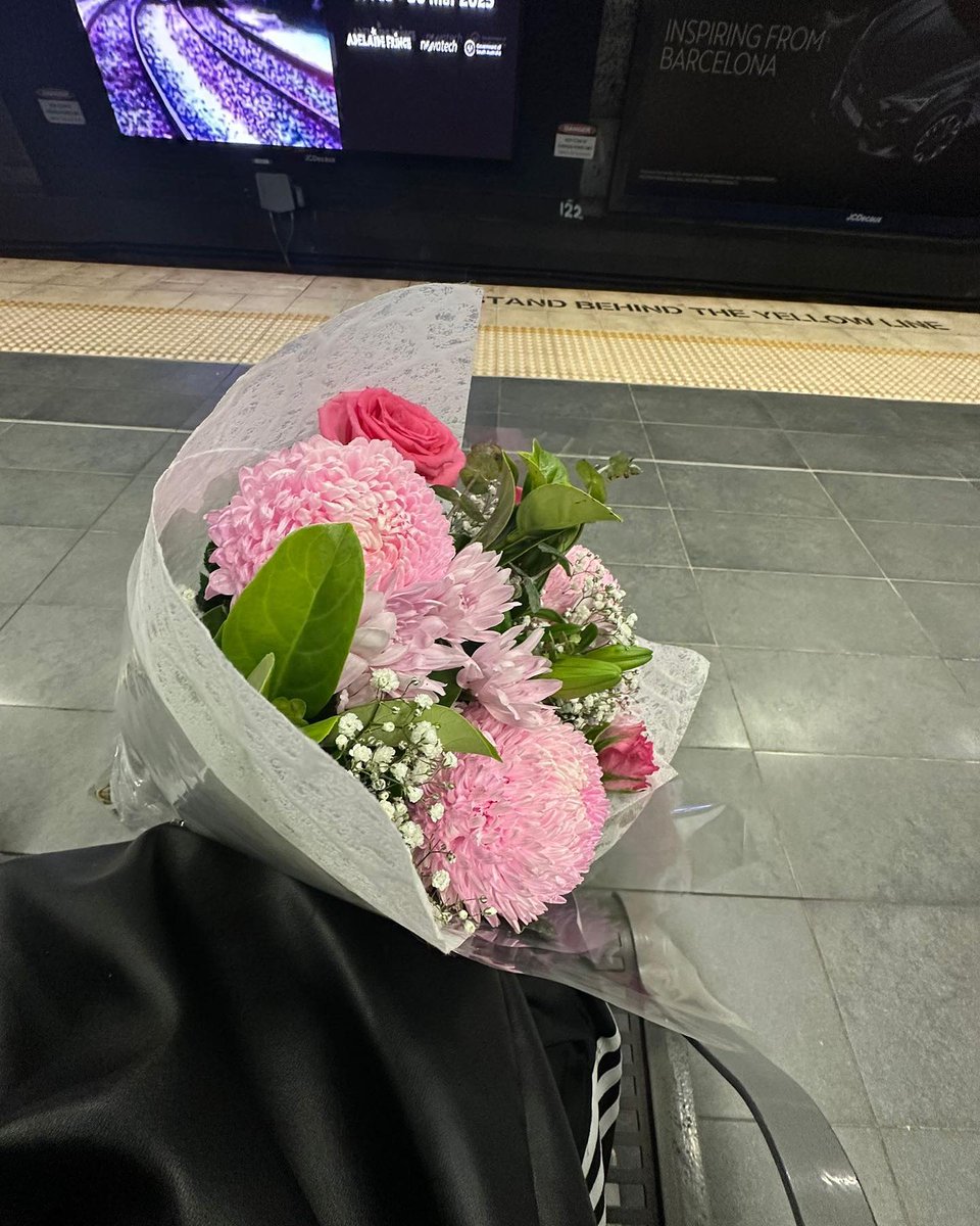 Sofia (@ainp7j2) / Posts / X