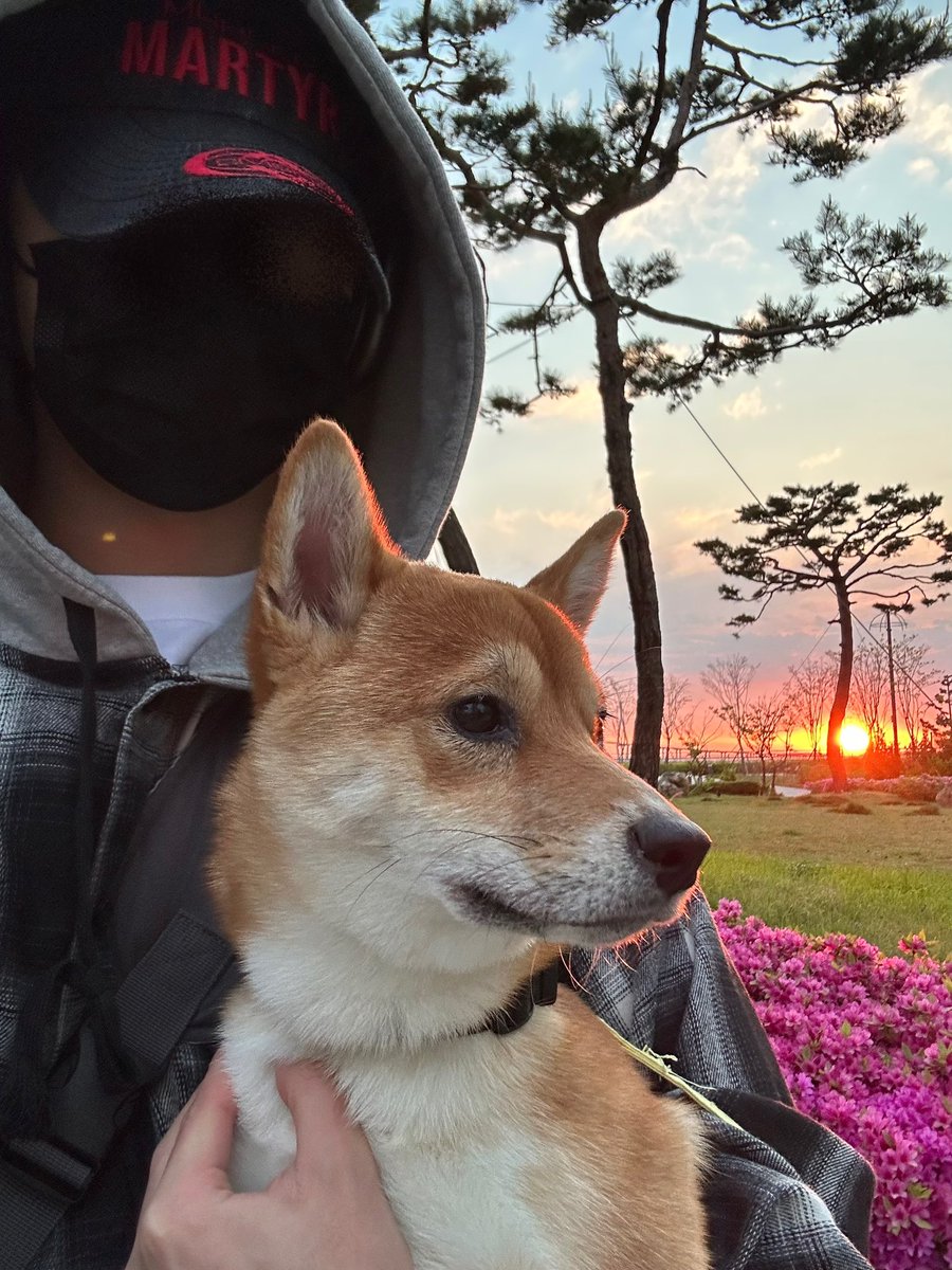 Ras9915's tweet photo. Kong 元気になってよかったー🐶😘
ついでに俺も元気！👻 https://t.co/57SVlQAy7C