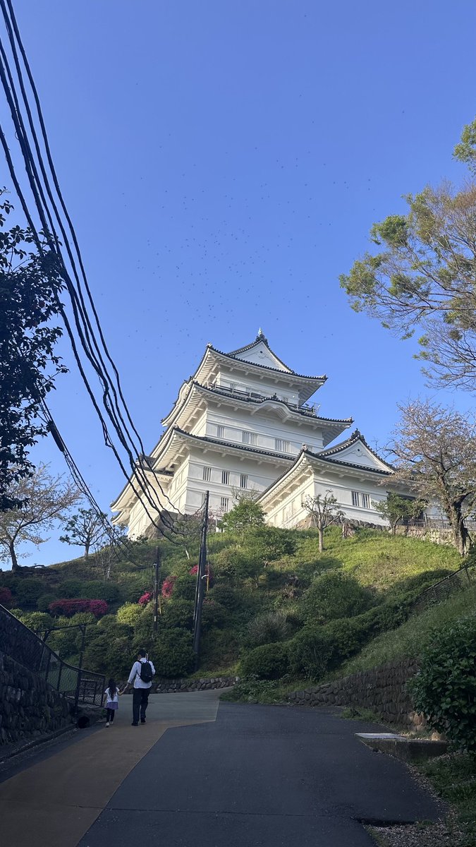 Pandaful_pp's tweet photo. MC 、通訳の王（William）です。

小田原城で聖地巡礼してきました🏯✨  
最高すぎた…！

そして  
大阪ライブの一般チケット予約スタート🎫🔥

ぜひ会いに来てください！  
大阪で待ってます🙌 https://t.co/HLzB0DnMc9