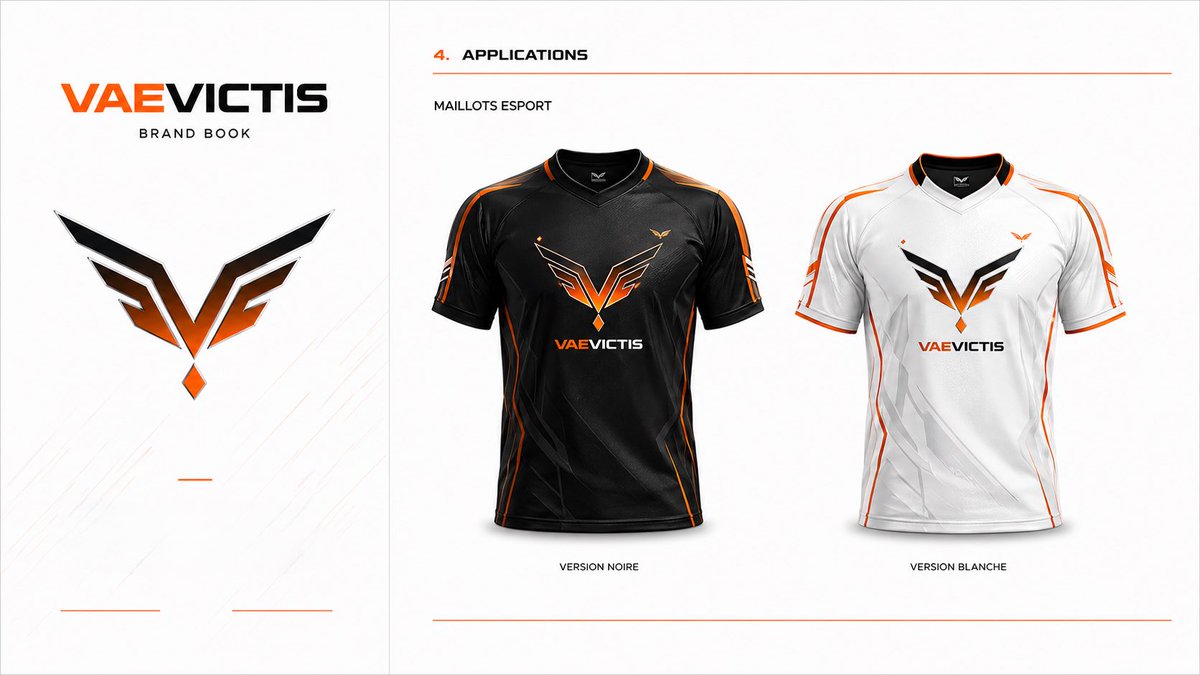 Vae-Victis Esport tweet media