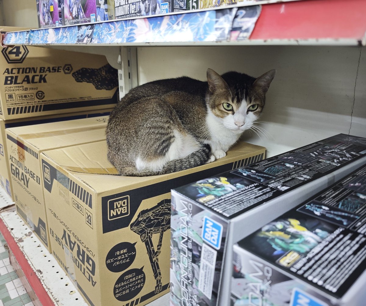 Hobby Clubhouse tweet media