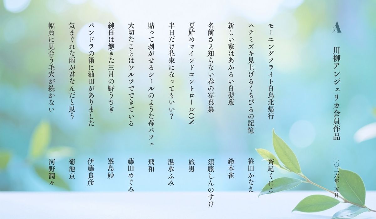 川柳アンジェリカ【オンライン川柳ユニット】 tweet media