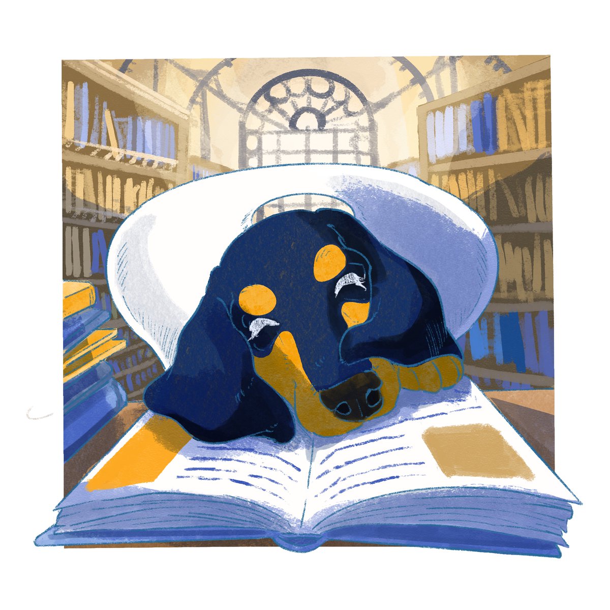 今日4月30日は「#図書館記念日」 ここは静かだし…なんだか眠気が