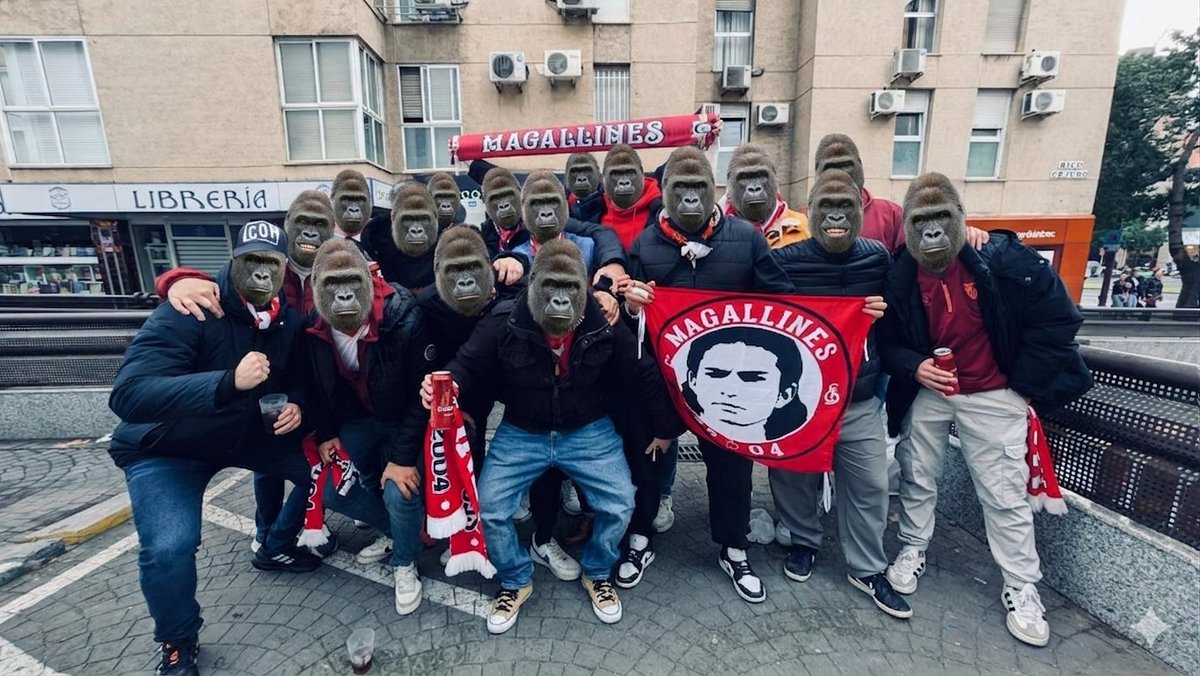 Peña Sevillista Magallines tweet media
