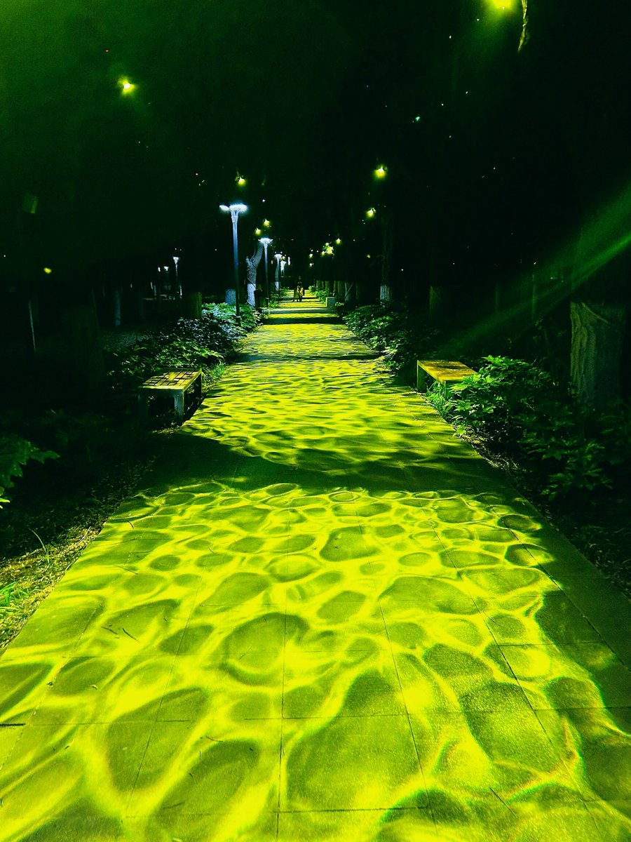 bahaa helmy tweet media