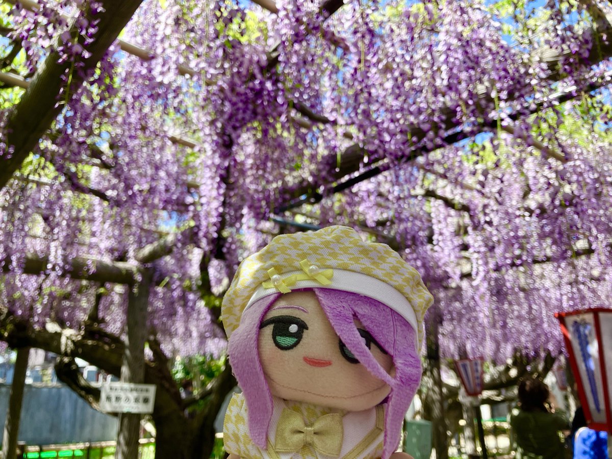 🖤真💜 tweet media
