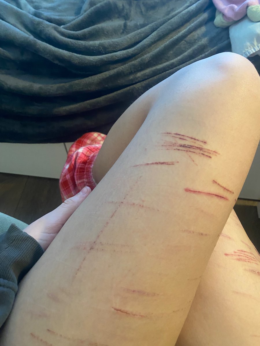 ｡꩜˚⋆𖦹°‧𝕱𝖑𝖎𝖓𝖘 𝖔𝖋 𝖘𝖍𝖊𝖉𝖙𝖜𝖙‧°𖦹⋆˚꩜｡ tweet media