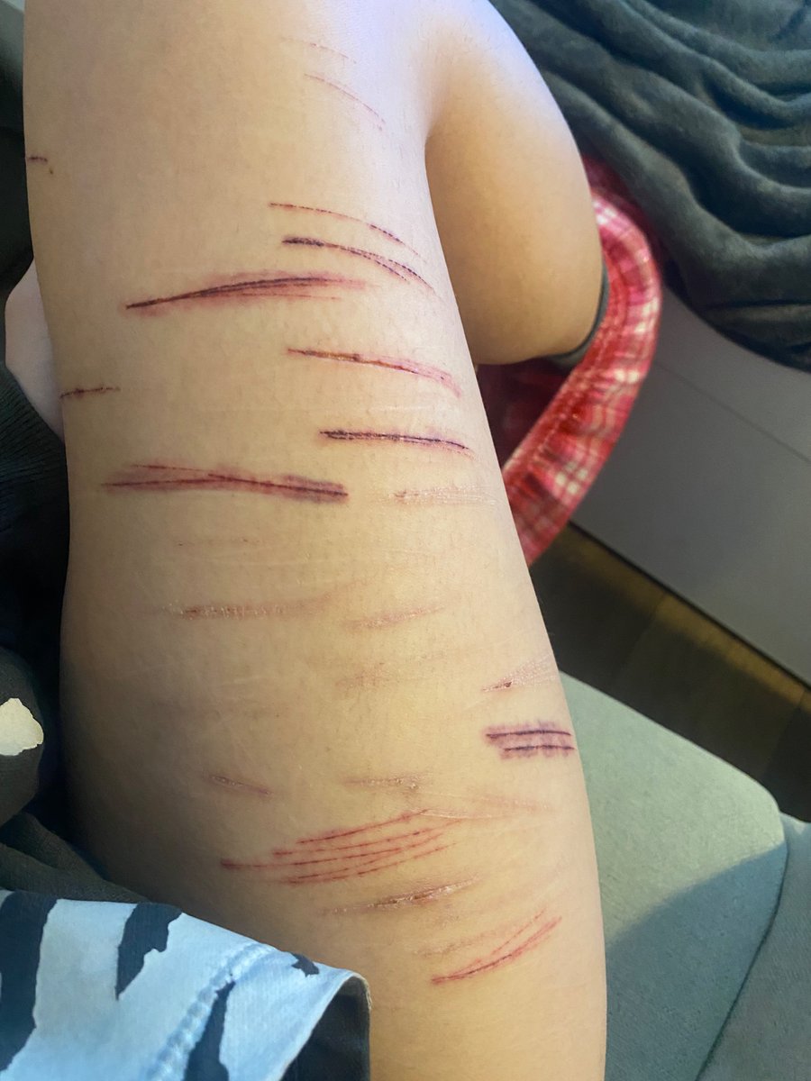 ｡꩜˚⋆𖦹°‧𝕱𝖑𝖎𝖓𝖘 𝖔𝖋 𝖘𝖍𝖊𝖉𝖙𝖜𝖙‧°𖦹⋆˚꩜｡ tweet media