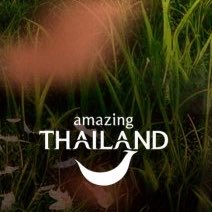 smp 🎲 ˙Ⱉ˙ tweet media