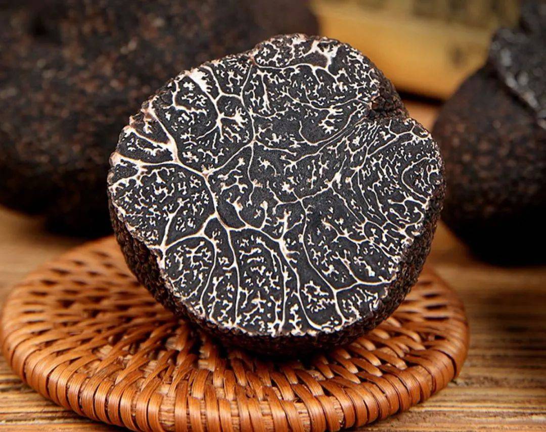 Ilaria Moschettini tweet media