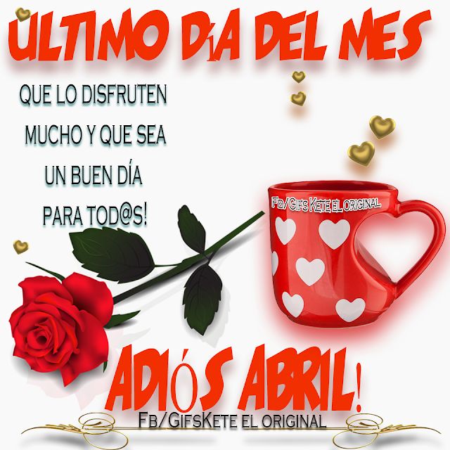 Queridos 🧡 👇👍🤣🌞🎶🌻🙏🏻🦋