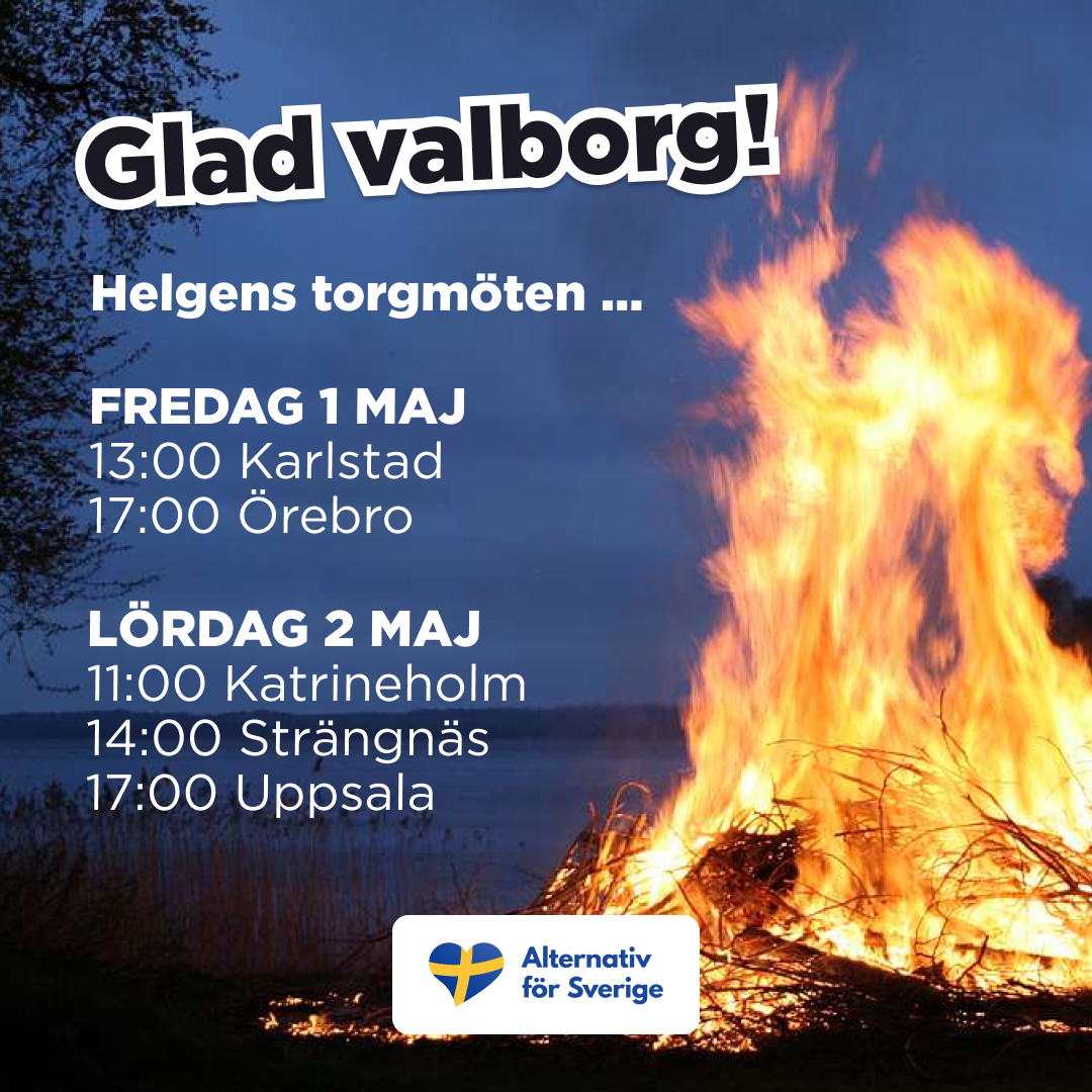 Alternativ för Sverige tweet media