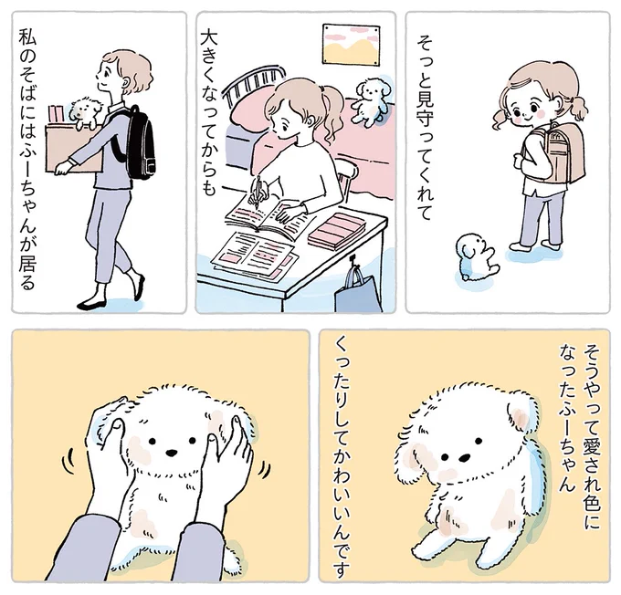 ふーちゃんにはもっと元気でいてほしい(0/4)
#わたしのぬいぐるみさん 