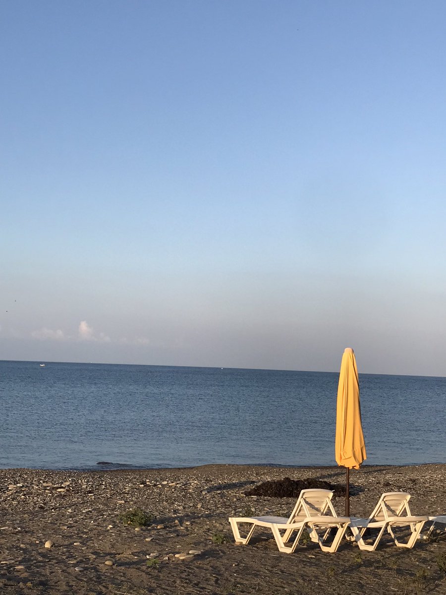şegisu ✨ ♃ tweet media
