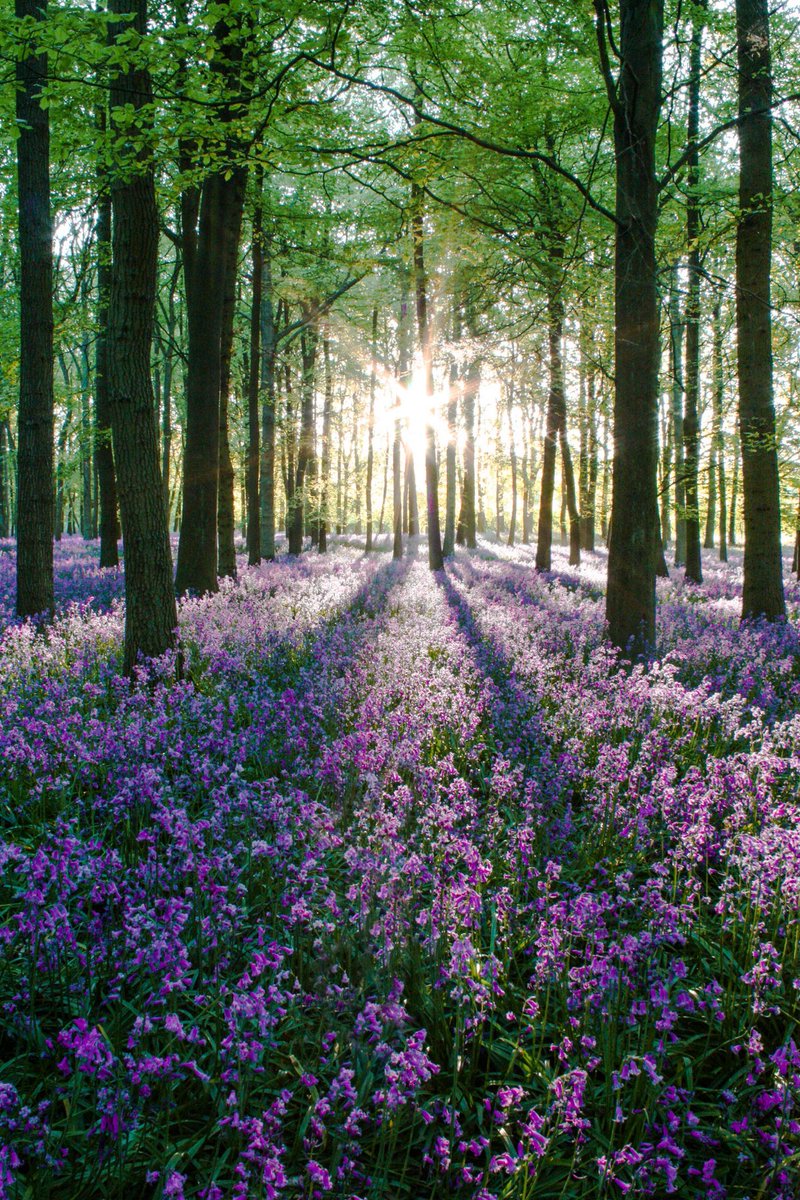 Lex Luger tweet media