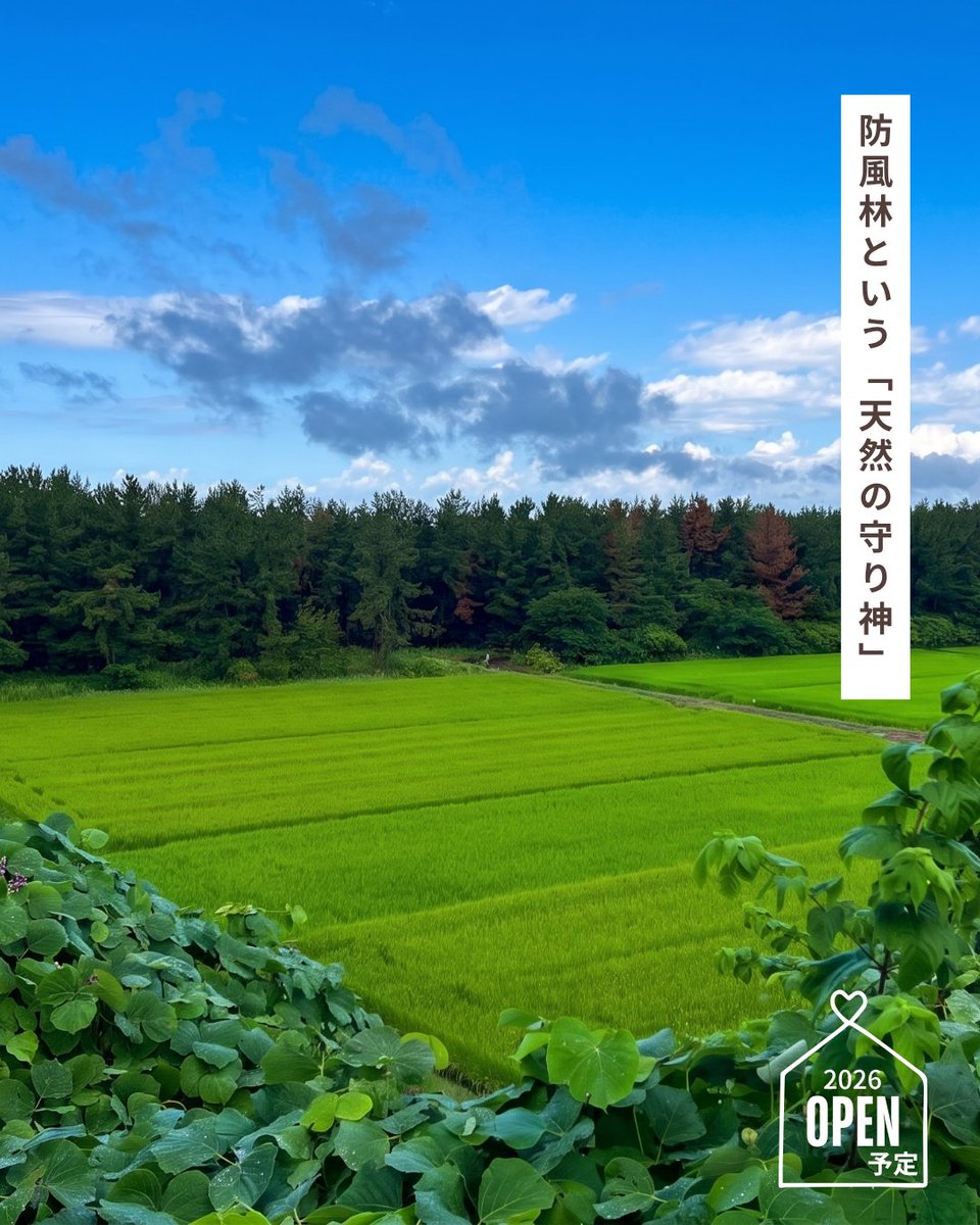 CVinson2020's tweet photo. 目に見えるのは、4.5km先まで続く大地と空。
耳に届くのは、防風林の向こうに隠れた海の鼓動。

「見えること」が当たり前の世界で
あえて海を隠し、圧倒的な余白を正面に据えました。

遮るものがないからこそ、雲の動きに気づき、
海が見えないからこそ、波の高さが音でわかる。

#寺泊 #新潟の空 https://t.co/fUF39jTbVa