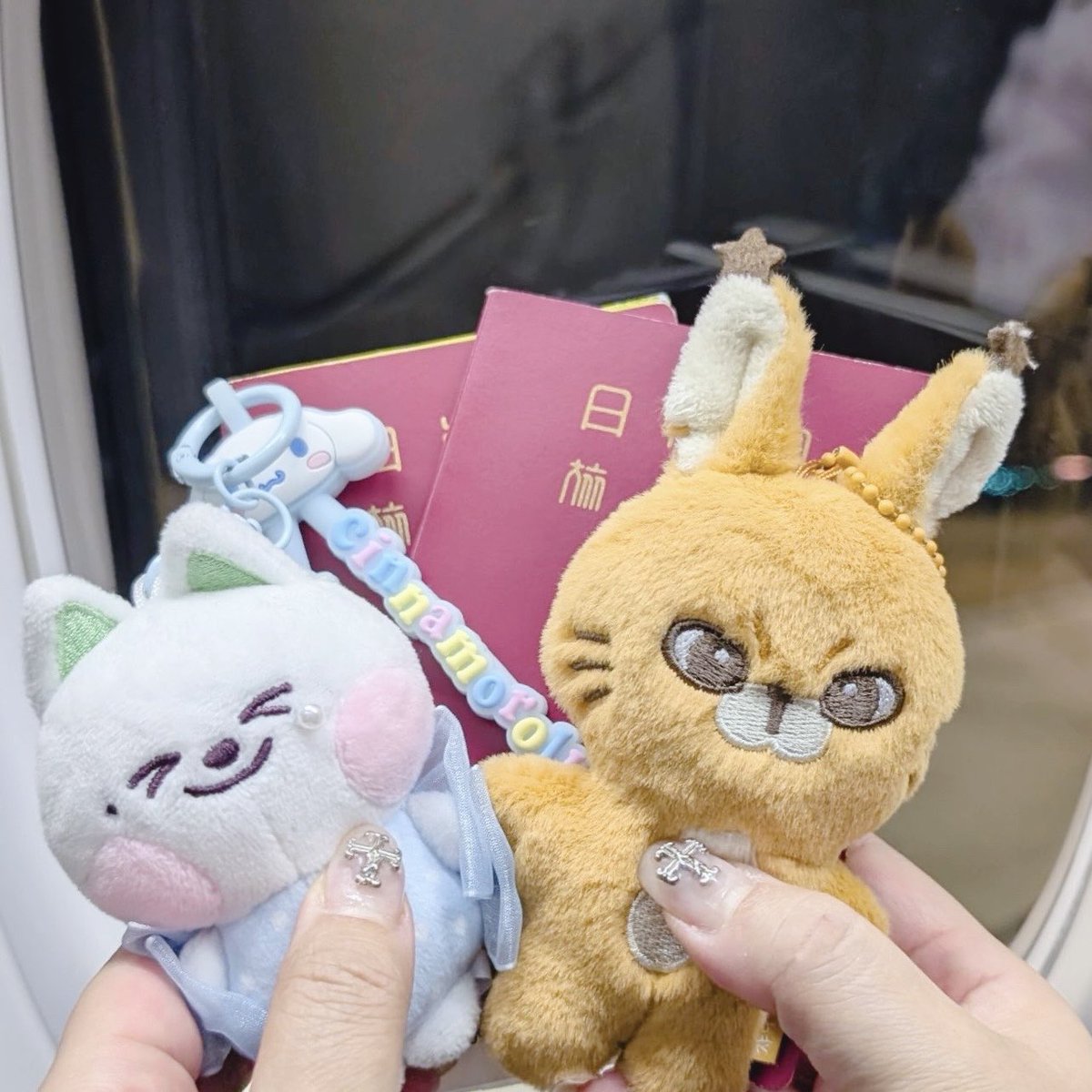 ip___pup's tweet photo. 行ってきます〜〜〜✈️🇰🇷 https://t.co/R8A3c6AMHR