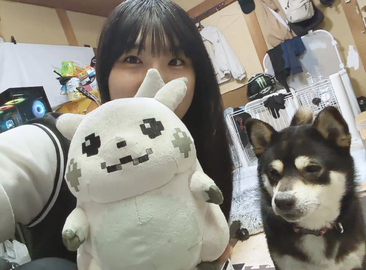 新井さん tweet media
