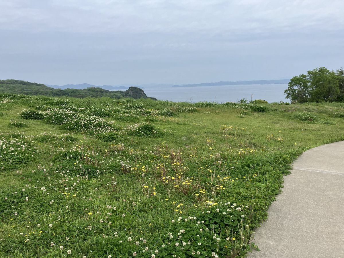 chiku2_jp's tweet photo. 豊島に行ってきました。緑がいっぱいで、癒し尽くし。豊島美術館、何度行っても素晴らしくて、1日のうちに、時間帯を変えて2回は訪れてしまう。鑑賞する人たちが目の前の現象に対して、それぞれの心地良い形で味わっているのも、とても良い。 https://t.co/NkyyTH62Ae