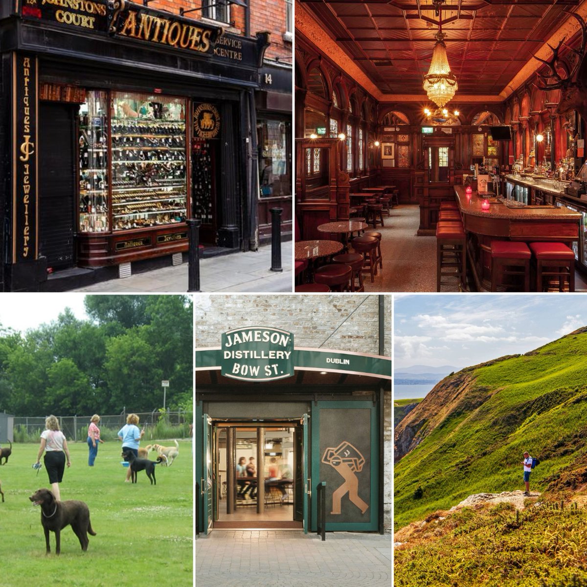 Jenny alt 🏳️‍🌈 tweet media