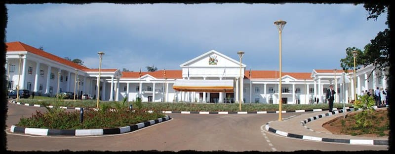 Africa First tweet media